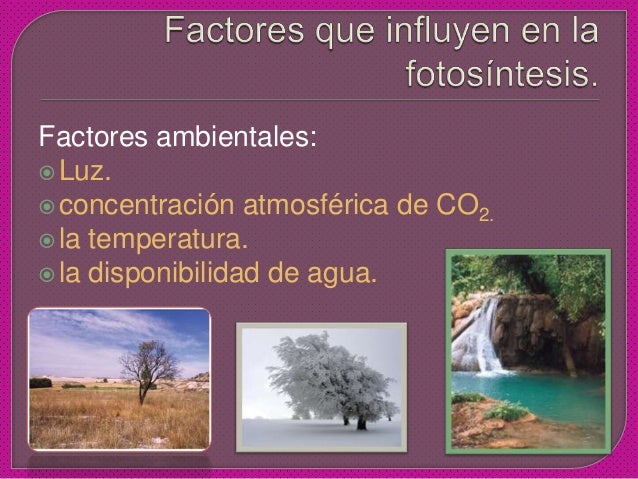 Descargar diapositivas de la fotosintesis 96 Descargar diapositivas de la fotosintesis 8